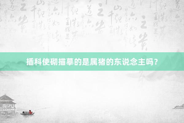 插科使砌描摹的是属猪的东说念主吗？