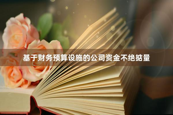 基于财务预算设施的公司资金不绝掂量