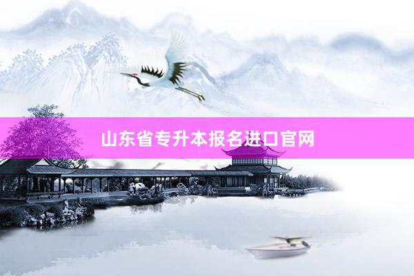 山东省专升本报名进口官网