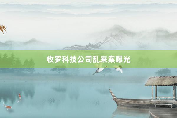 收罗科技公司乱来案曝光